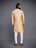ALIGARHI LOOP BUTTON KURTA