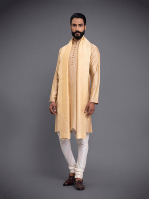 ALIGARHI LOOP BUTTON KURTA